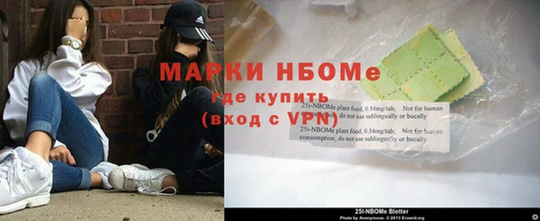 молекула духа Бронницы