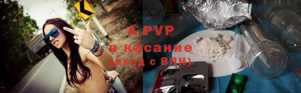 мдпв Богданович
