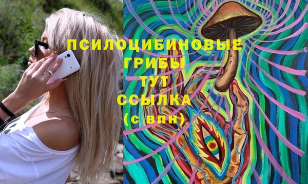 ALPHA PVP Богородск