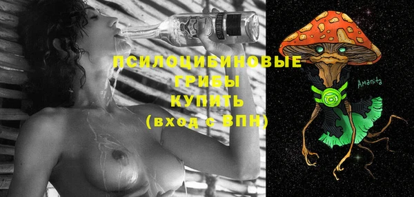 MDMA Богородицк